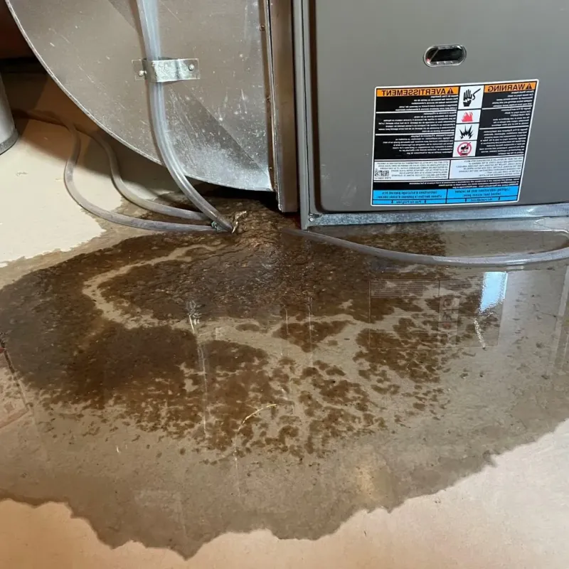 Pipe Burst and Leak Restoration in Gloversville, NY